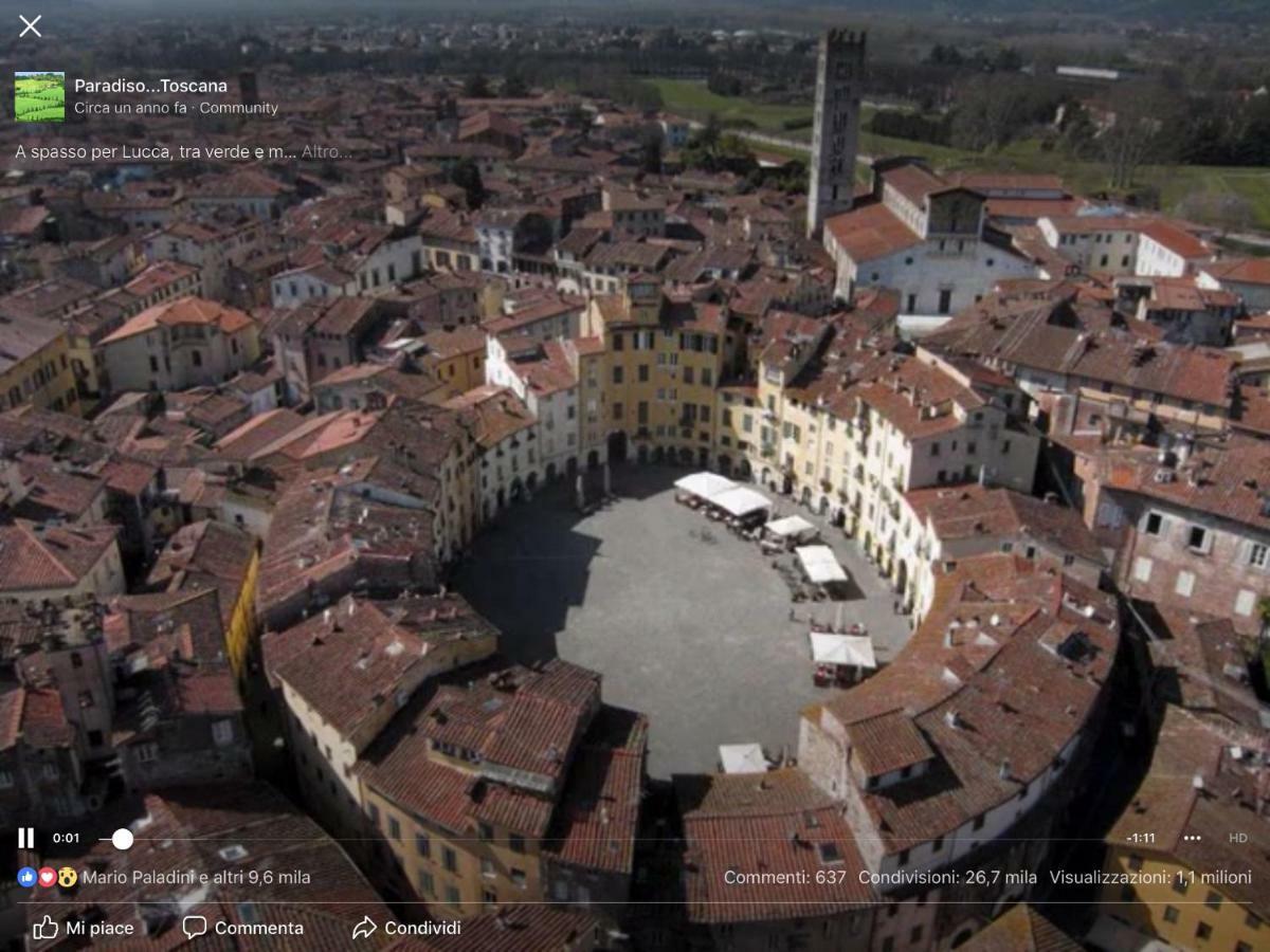 Casamariu Villa Lucca Exteriör bild