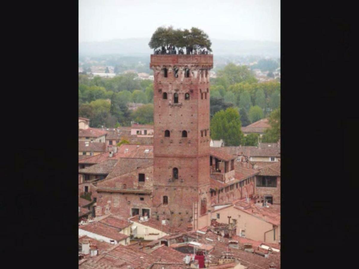 Casamariu Villa Lucca Exteriör bild